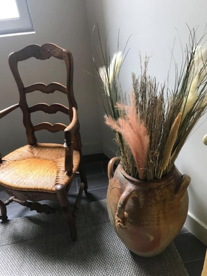Appartamento La Doucette Provencale Cozy Nest In Avignone Esterno foto